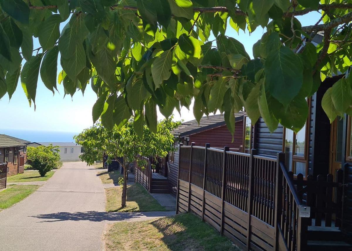 Shear Barn Holiday Park Гастингс Экстерьер фото